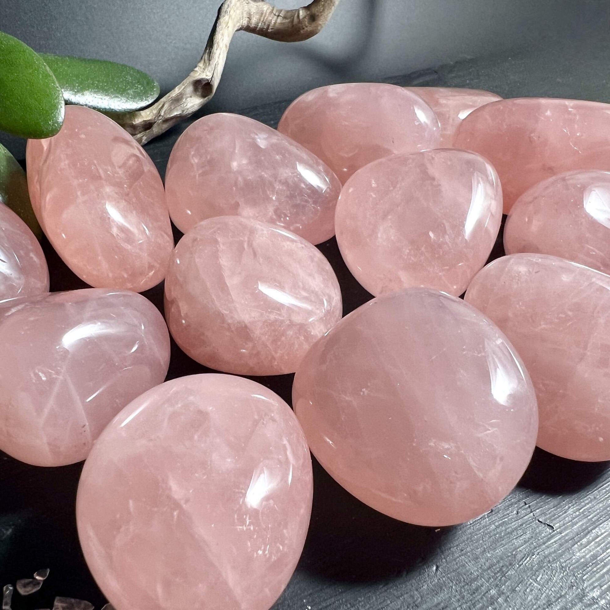 Sternrosenquarz Gruppe Nahaufnahme polierte Oberflaeche rosa Schimmer