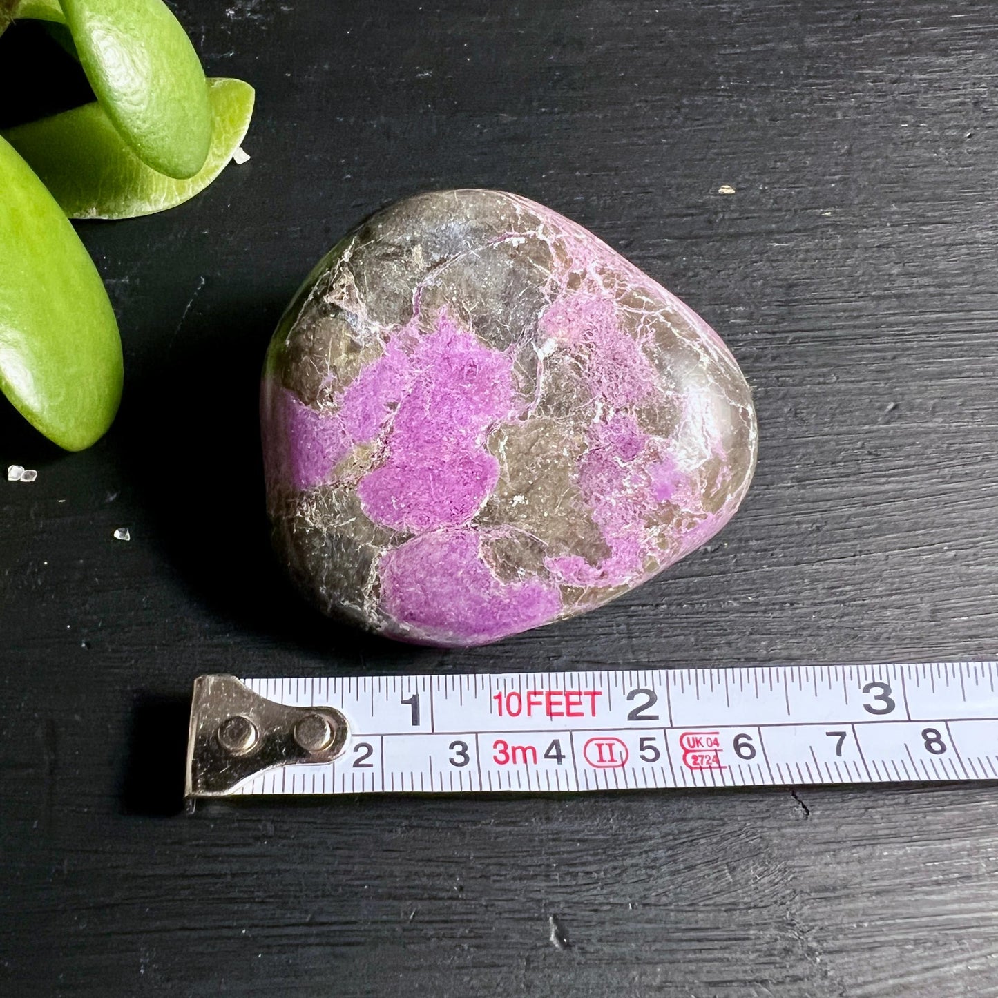 Stichtit Palmstein mit Massstab 56 mm Groessenvergleich