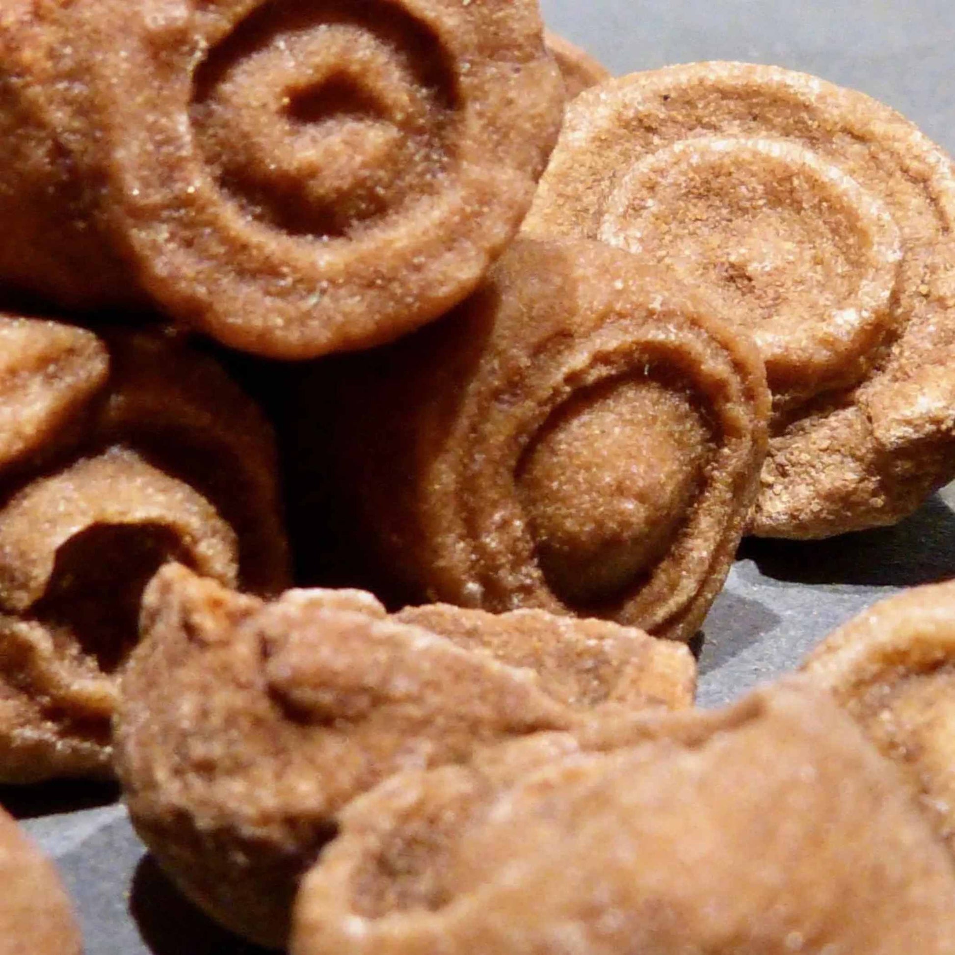 Stromatolith 3er Set Rohsteine fuer Sammler und Kristallgitter