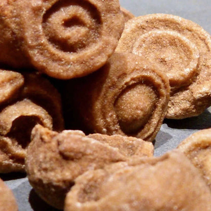 Stromatolith 3er Set Rohsteine fuer Sammler und Kristallgitter