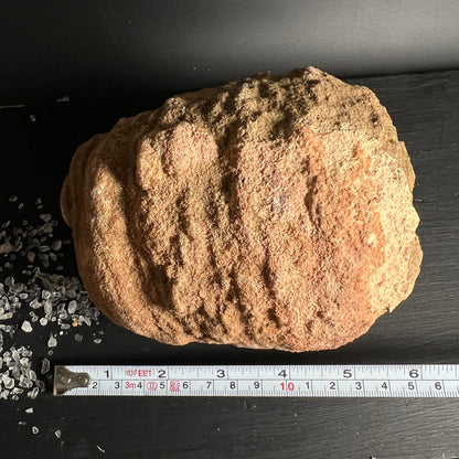 Stromatolith | Marokko | Rohstein | Draufsicht | mit Maßband | natürliche Struktur | Happy Minerals