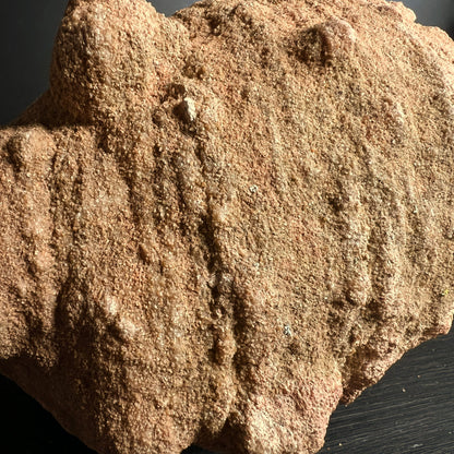 Stromatolith | Marokko | Rohstein | Makroaufnahme | körnige Mineralstruktur | sandfarbene Details | Happy Minerals