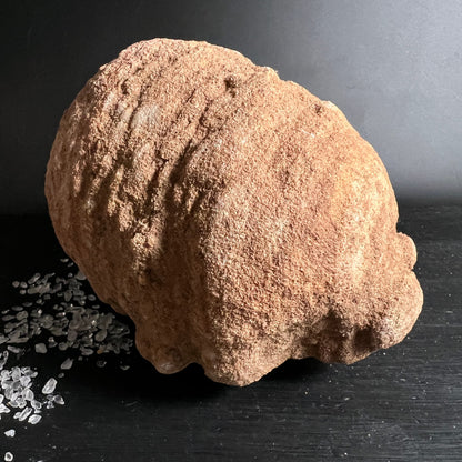Stromatolith | Marokko | Rohstein | raue Oberfläche | warme Sandtöne | organische Form | Happy Minerals