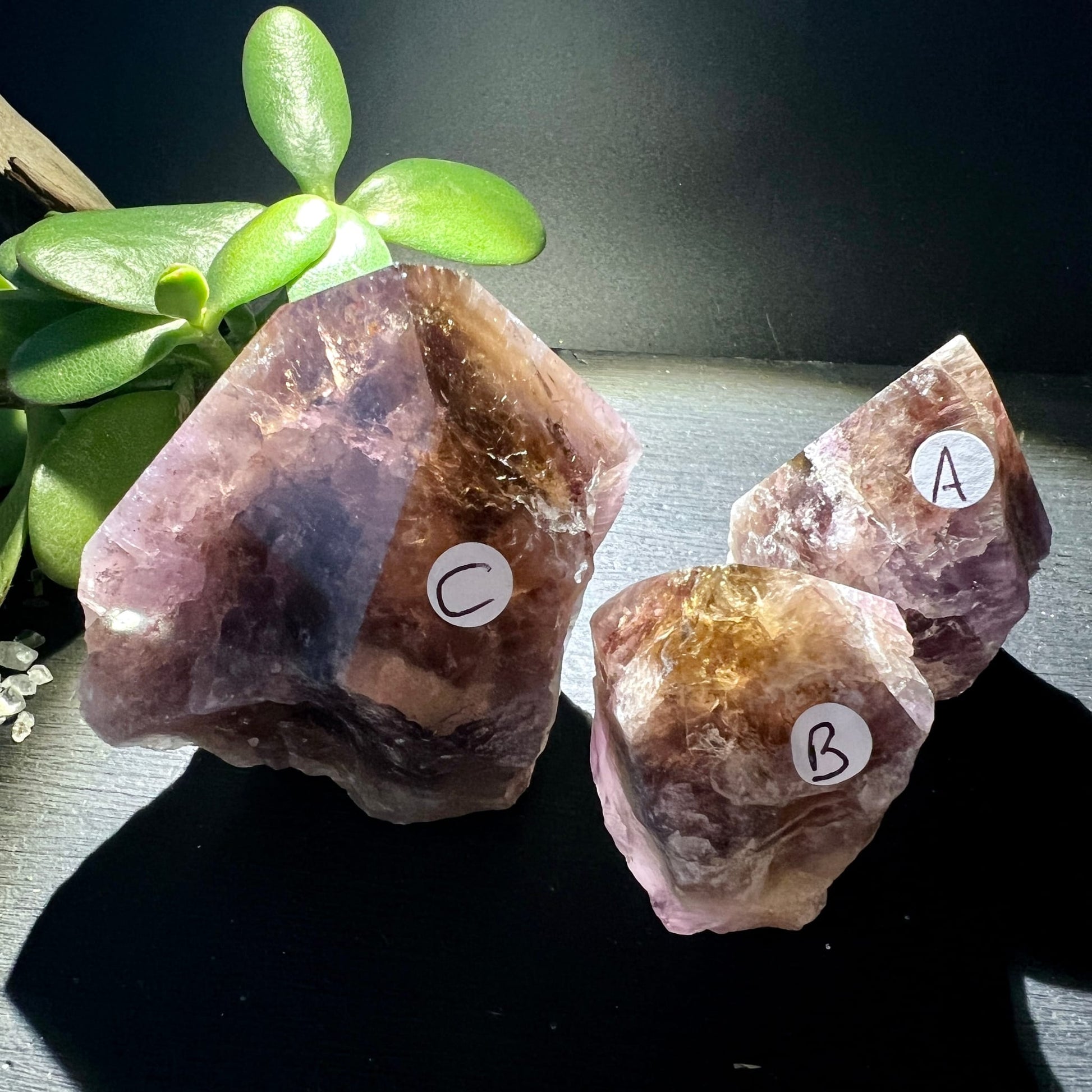 Super Seven Melody Stone | Variante A B C | Seitenansicht | goldbraun violett | polierte Spitzen | Happy Minerals