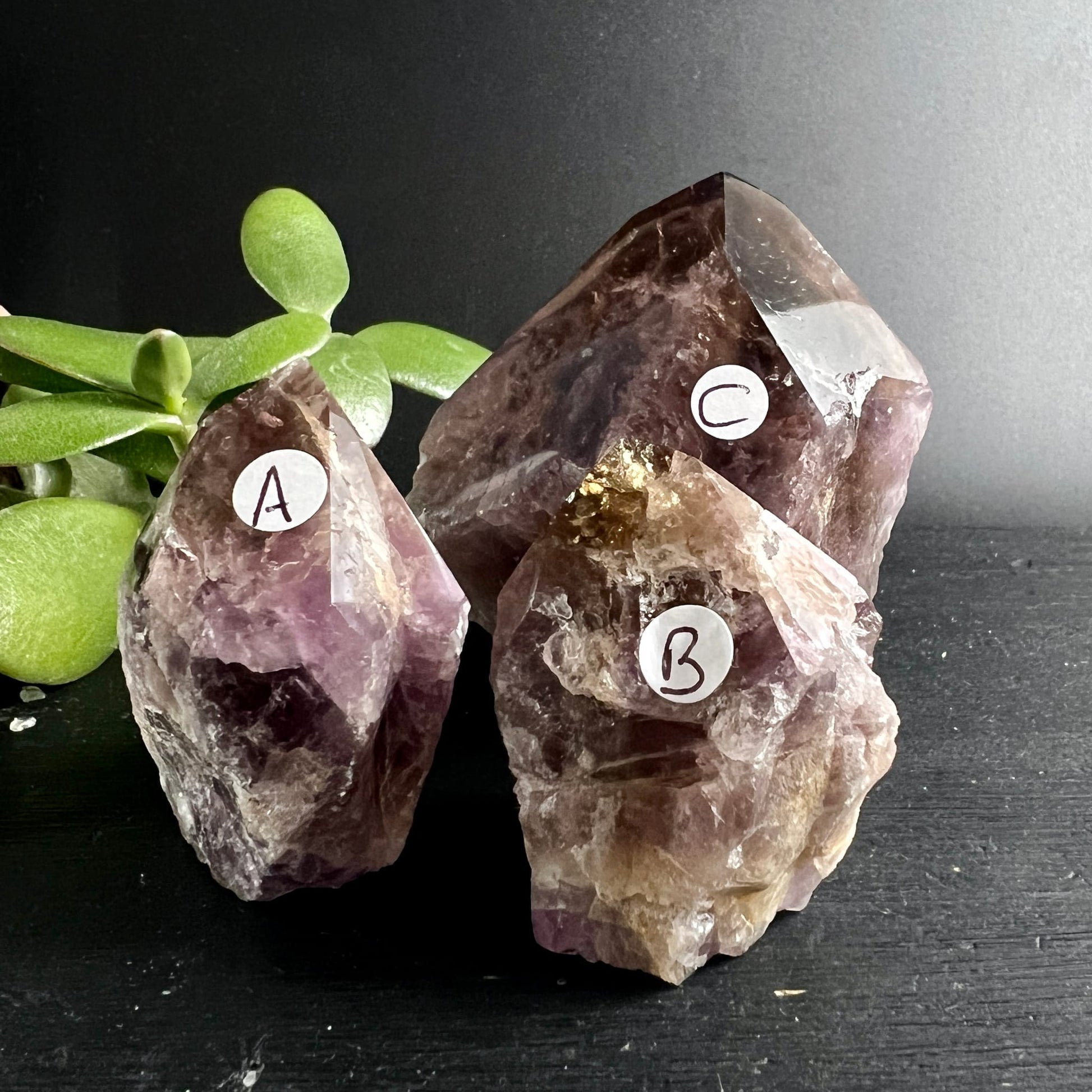 Super Seven Melody Stone | Variante A B C | polierte Spitzen | Brasilien | violett braun | Happy Minerals