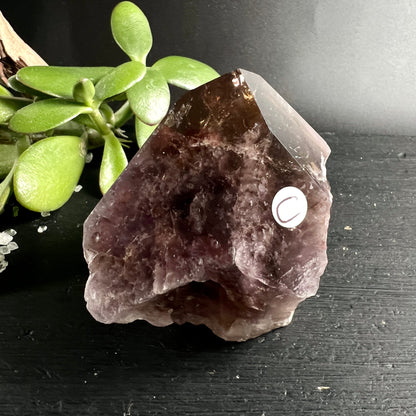 Super Seven Melody Stone | Variante C | polierte Spitze | tiefviolett dunkelbraun | kraftvoller Stein | Happy Minerals