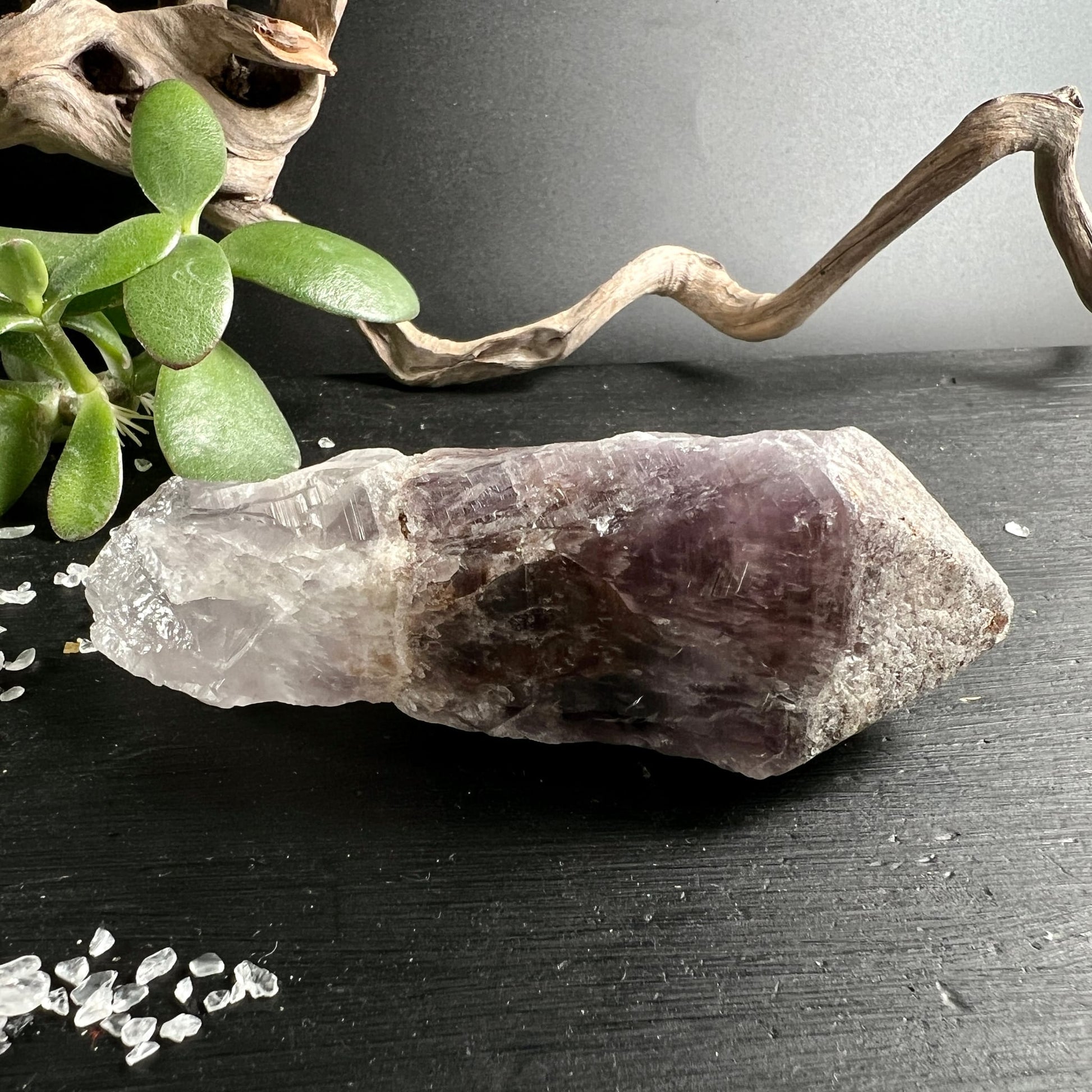 Super Seven Rohstein | zarter Lila-Violett-Ton | Deko mit Sukkulente & Treibholz | Brasilien | Happy Minerals