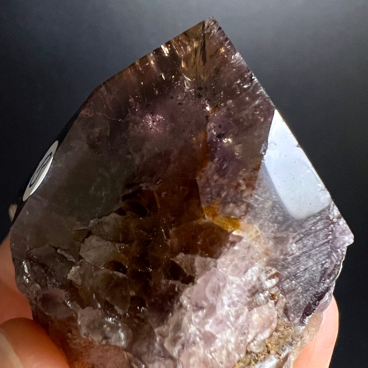 Super Seven Kristallspitze, rauchbraun mit violetten Amethyst-Zonen und Einschluessen, natuerliche Facetten | Happy Minerals