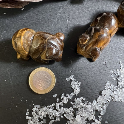Goldbrauner Tigerauge Bär mit typischem Katzenauge-Lichtspiel | Happy Minerals