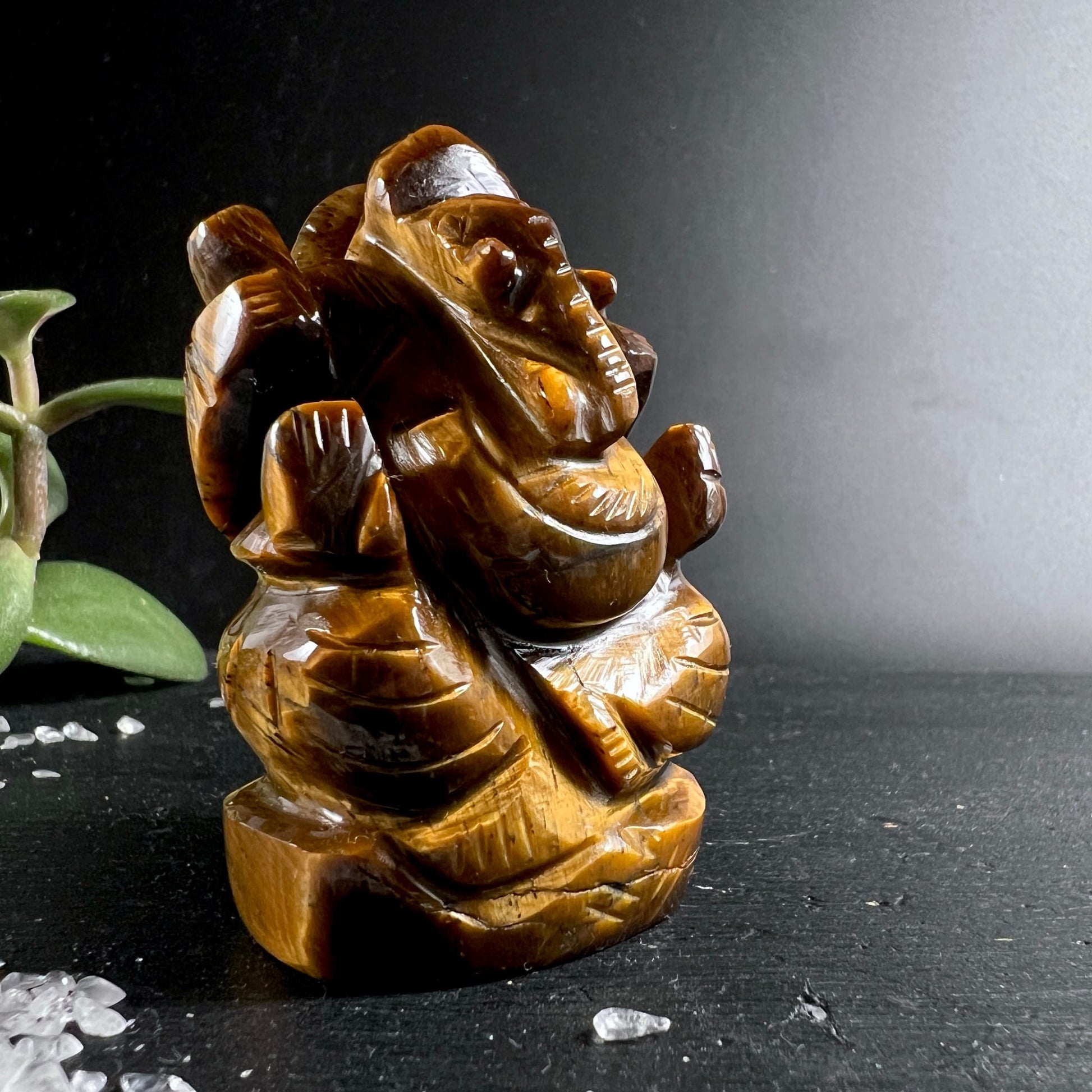 Tigerauge Ganesha | goldbraun schimmernd | Seitenansicht | elegante Detailschnitzerei | Happy Minerals