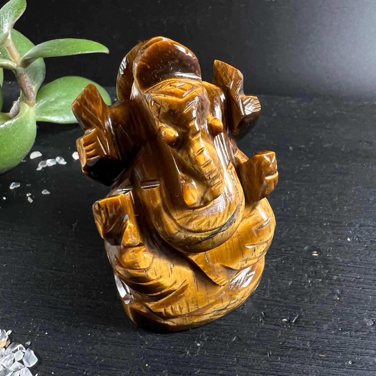 Tigerauge Ganesha | frontale Nahaufnahme | Rüssel & Augen | seidiger Glanz | Indien | Happy Minerals