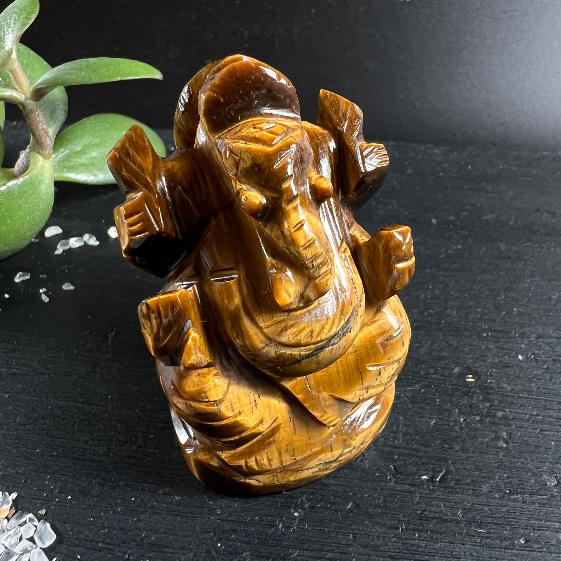 Tigerauge Ganesha | frontale Nahaufnahme | Rüssel & Augen | seidiger Glanz | Indien | Happy Minerals