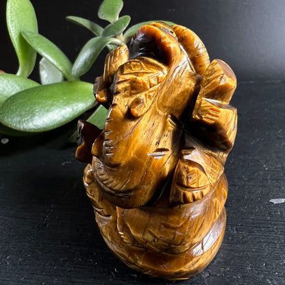 Tigerauge Ganesha | Rückenansicht | geschwungener Rüssel | warme Bernsteintöne | Happy Minerals