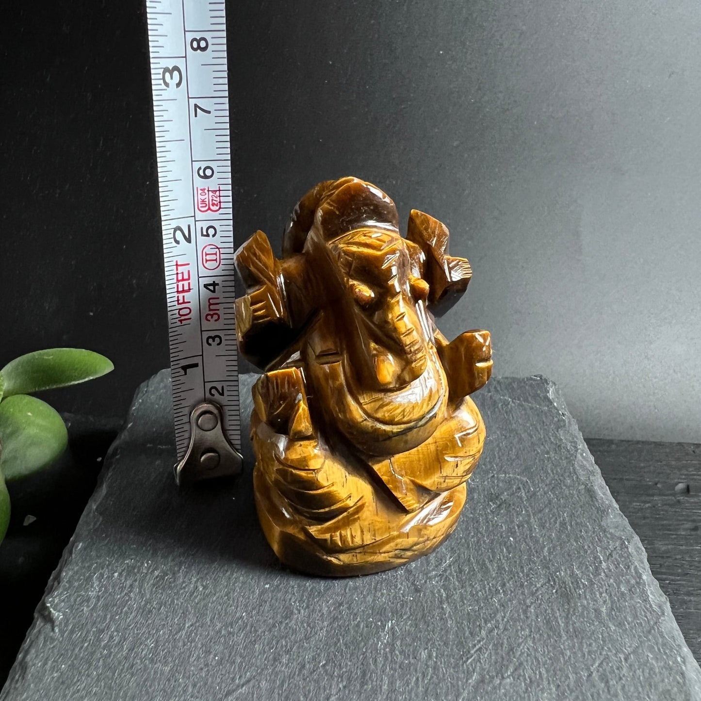 Tigerauge Ganesha | Größenvergleich mit Maßband | ca. 7 cm hoch | Schieferplatte | Happy Minerals
