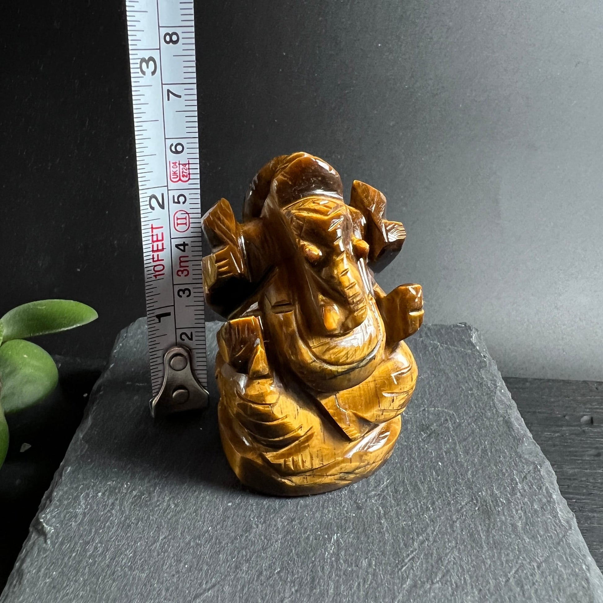 Tigerauge Ganesha | Größenvergleich mit Maßband | ca. 7 cm hoch | Schieferplatte | Happy Minerals
