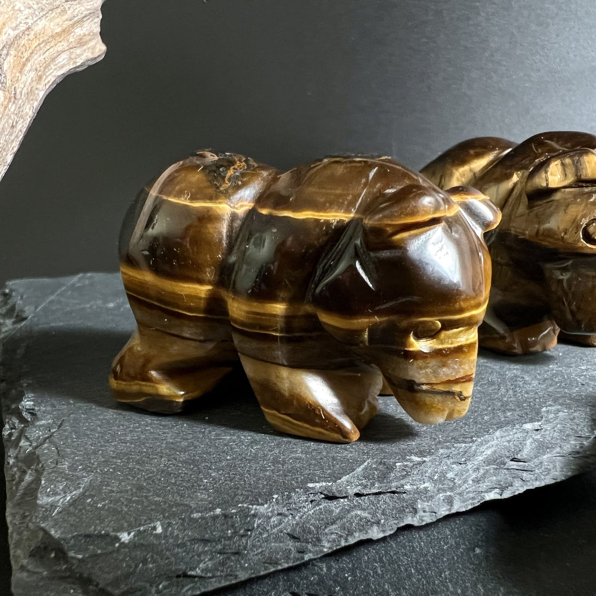 Handgeschnitzte Tierfigur Bär aus Tigerauge, poliert und detailreich | Happy Minerals