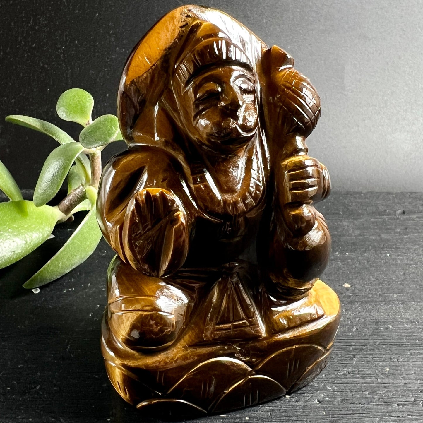 Tigerauge Hanuman Figur | goldbraun glänzend | Vorderansicht | Sukkulente | Happy Minerals