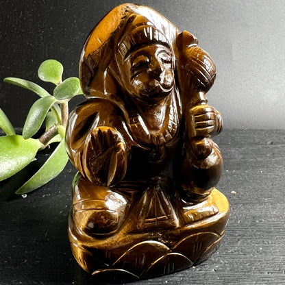 Tigerauge Hanuman Figur | goldbraun glänzend | Vorderansicht | Sukkulente | Happy Minerals