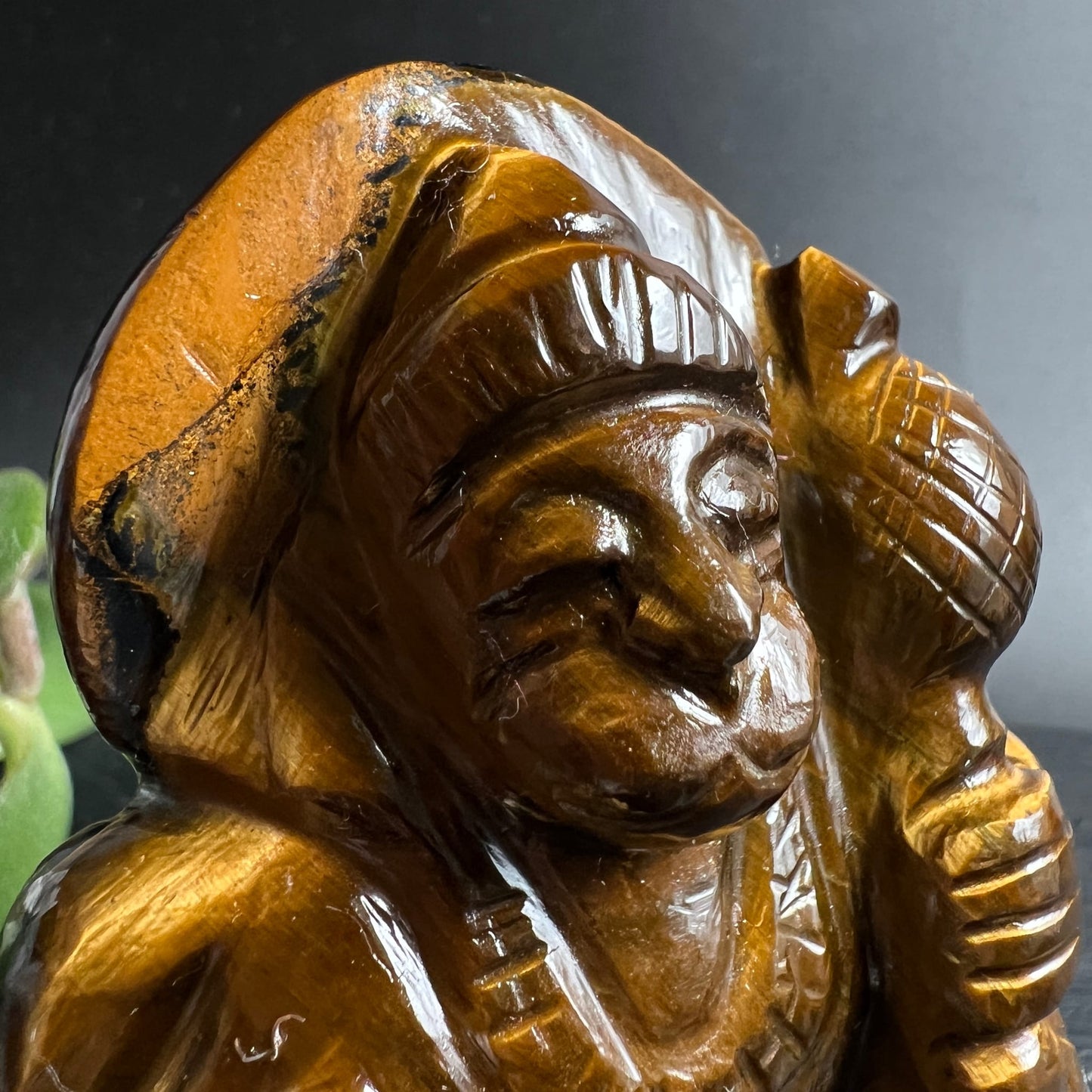 Tigerauge Hanuman | Nahaufnahme Gesicht | geschlossene Augen | goldene Chatoyanz | detailliert | Happy Minerals