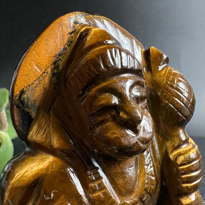 Tigerauge Hanuman | Nahaufnahme Gesicht | geschlossene Augen | goldene Chatoyanz | detailliert | Happy Minerals
