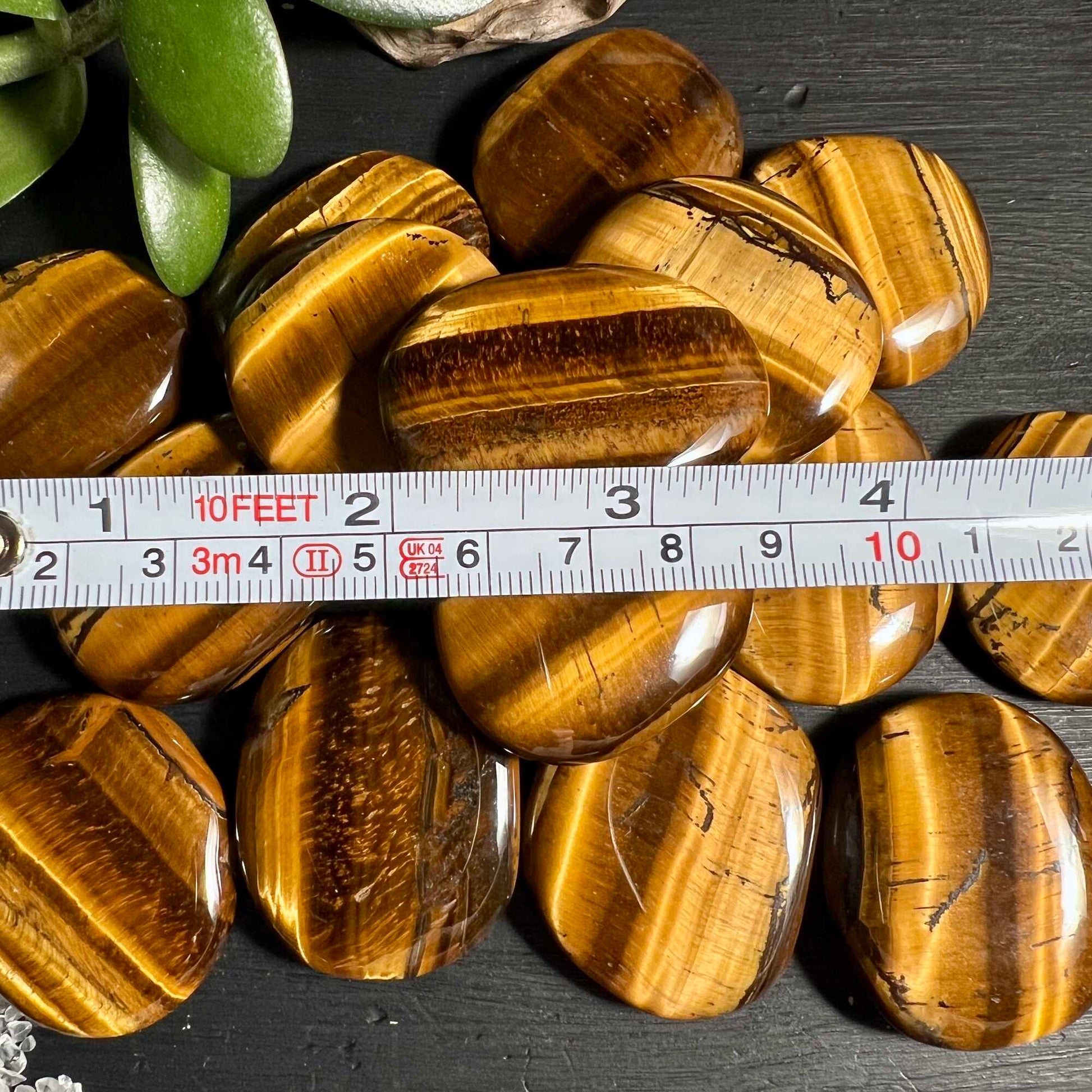 Tigerauge Palmstones mit Maßstab