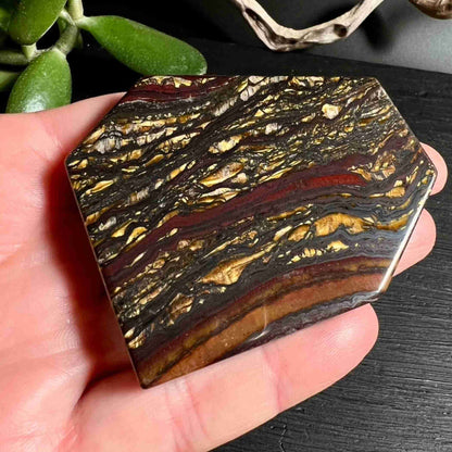 Tigereisen poliert Detailaufnahme der goldenen Streifen in der Hand | Seidenglanz | Happy Minerals