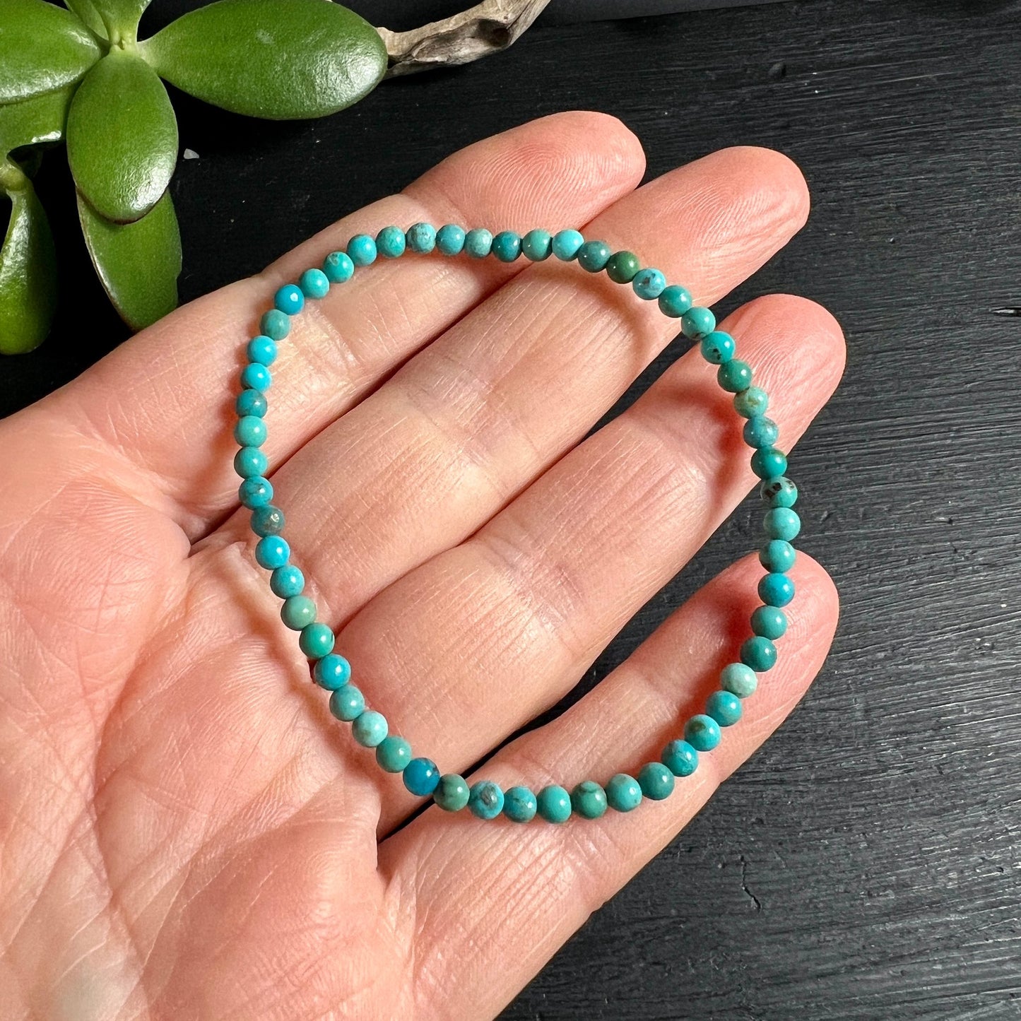 Türkis Perlen Armband | Hand gehalten | runde blaue Steine | USA Türkis | Größenvergleich | Sukkulenten | Happy Minerals