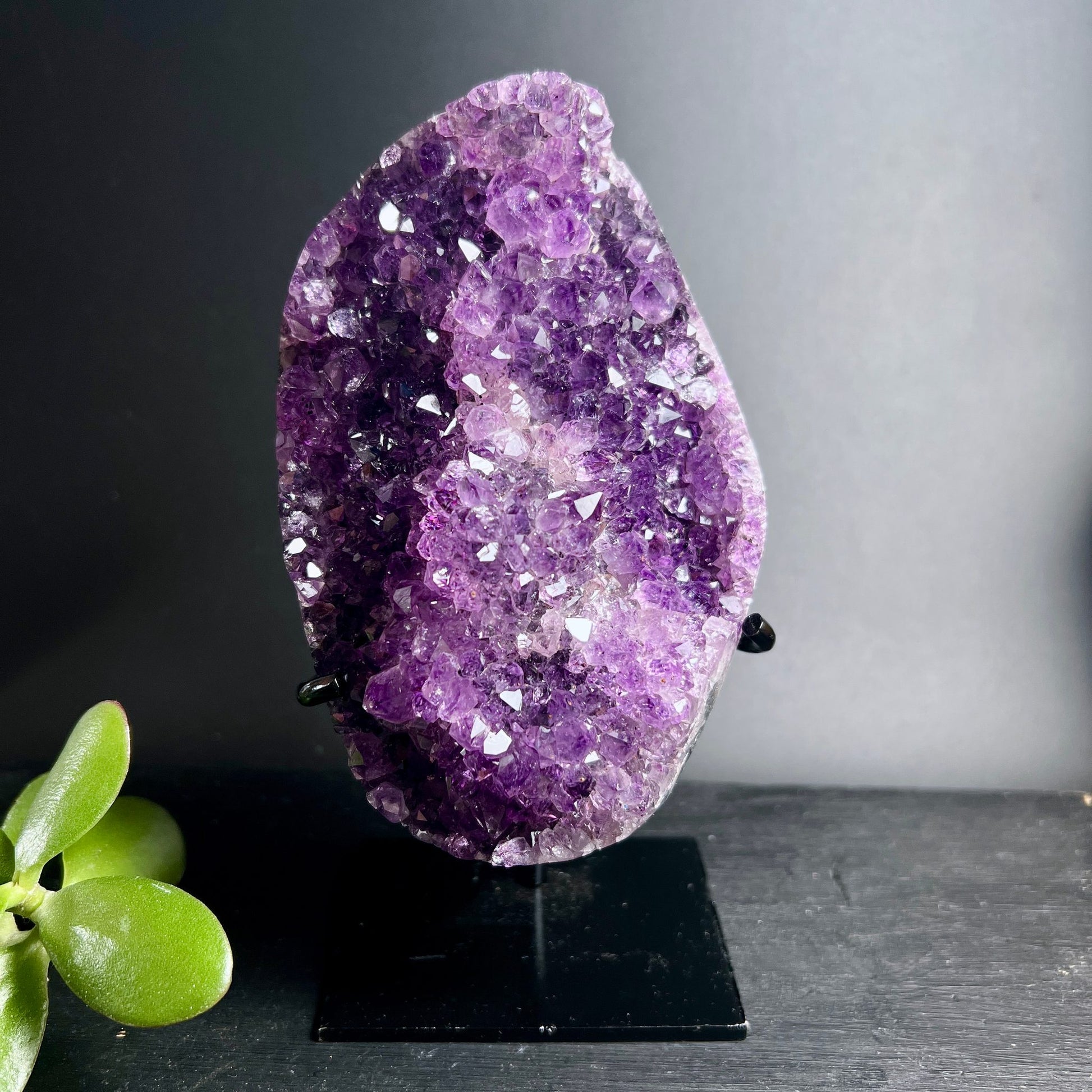 Uruguay Amethyst Druse | poliert | Seitenansicht | violette Farbverläufe | Kristallformation | Happy Minerals