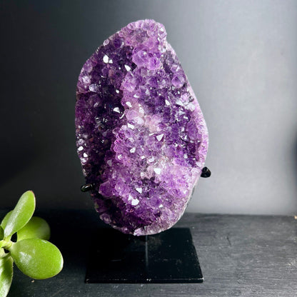 Uruguay Amethyst Druse | poliert | Seitenansicht | violette Farbverläufe | Kristallformation | Happy Minerals