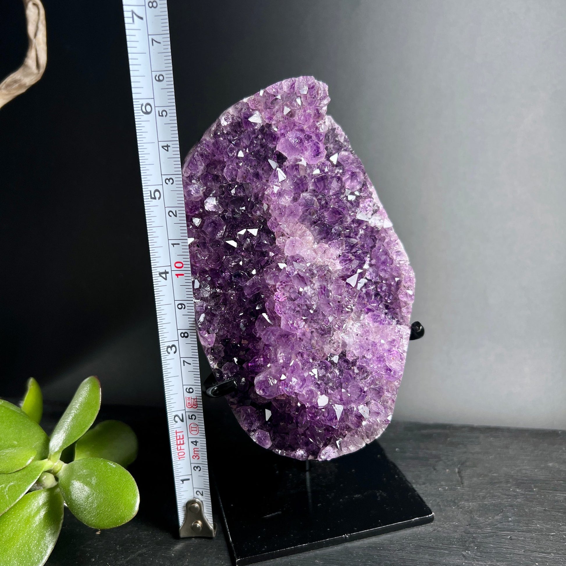 Uruguay Amethyst | Größenvergleich | Maßband | ca. 4 Zoll | polierte Kristalldruse | Happy Minerals