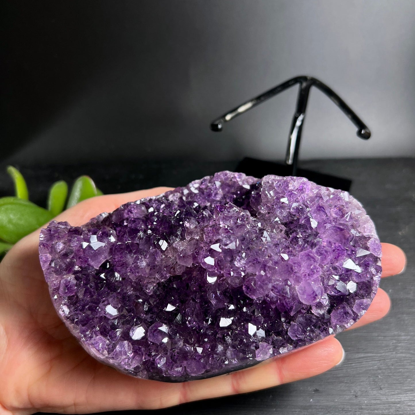 Uruguay Amethyst | in Hand gehalten | Größendarstellung | violette Kristallspitzen | poliert | Happy Minerals