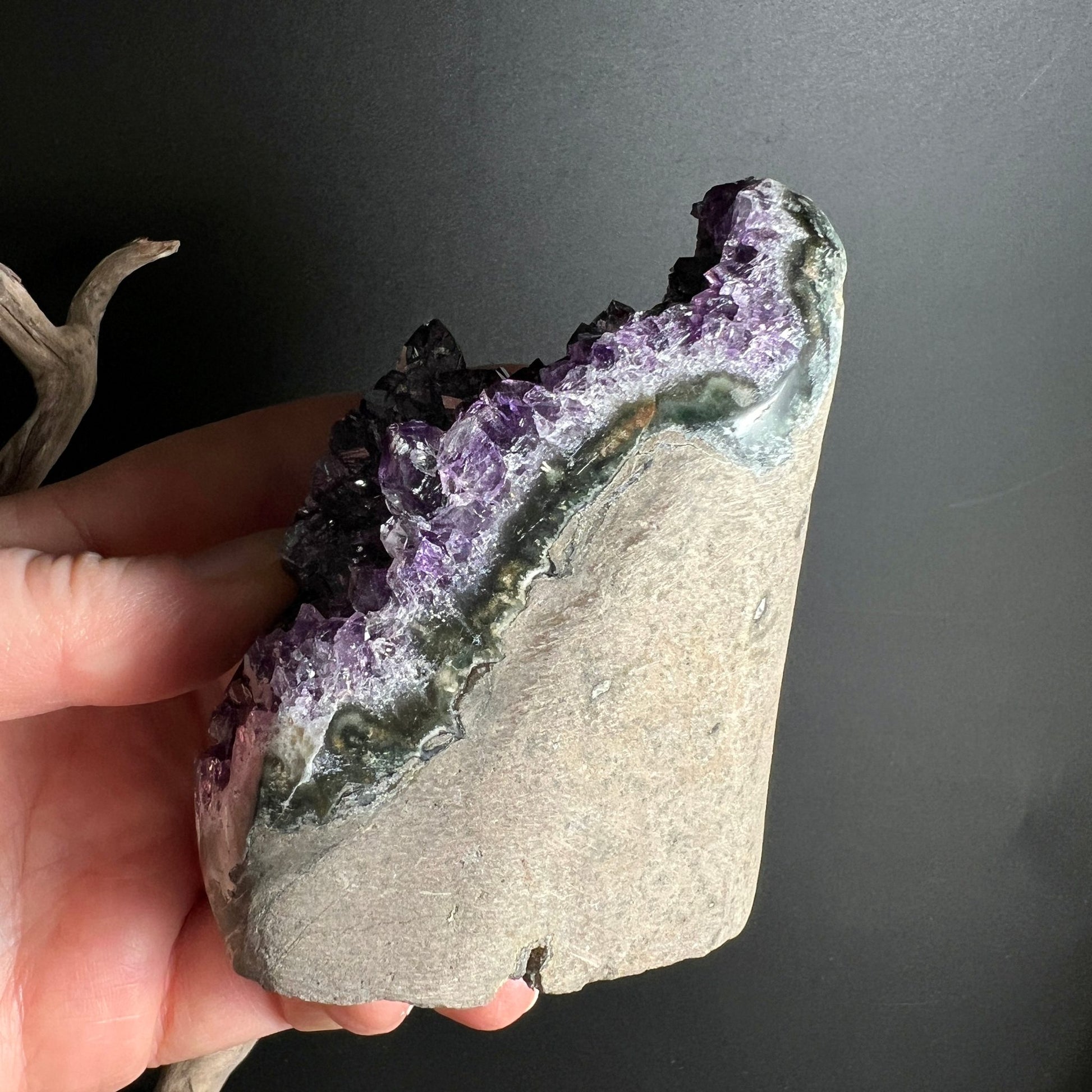 Uruguay Amethyst | kantenpoliert | Seitenansicht | beige-grüne Basis | violette Spitzen | Happy Minerals