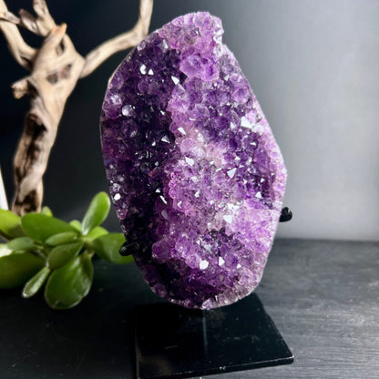 Uruguay Amethyst | poliert | Metallständer | tiefviolette Kristalle | grüne Pflanze | Happy Minerals
