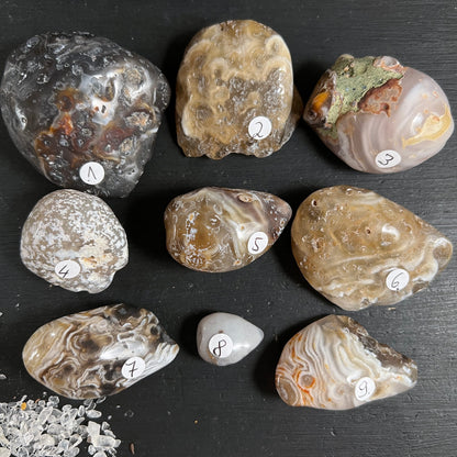 Neun polierte Wasseragate in Grau, Beige und Braun mit Blasenmuster und Zonen, nummeriert 1-9 | Happy Minerals