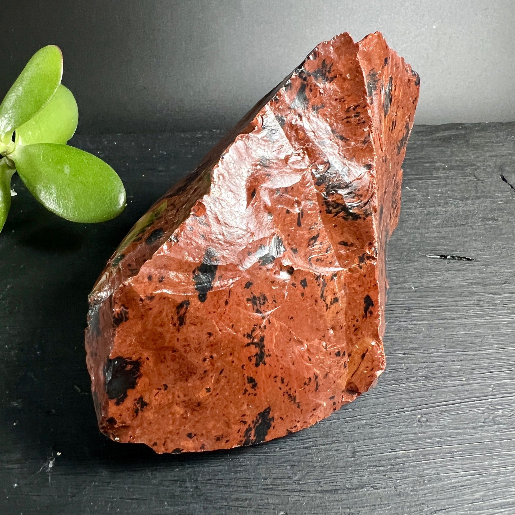 Woodgrain Obsidian Rohstein | Rückseite | natürliche Bruchkanten | rotbraune Holzmaserung | Happy Minerals